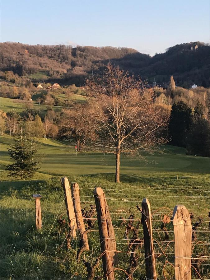 Golf Val De Sorne Vernantois Maison Vigneronne エクステリア 写真